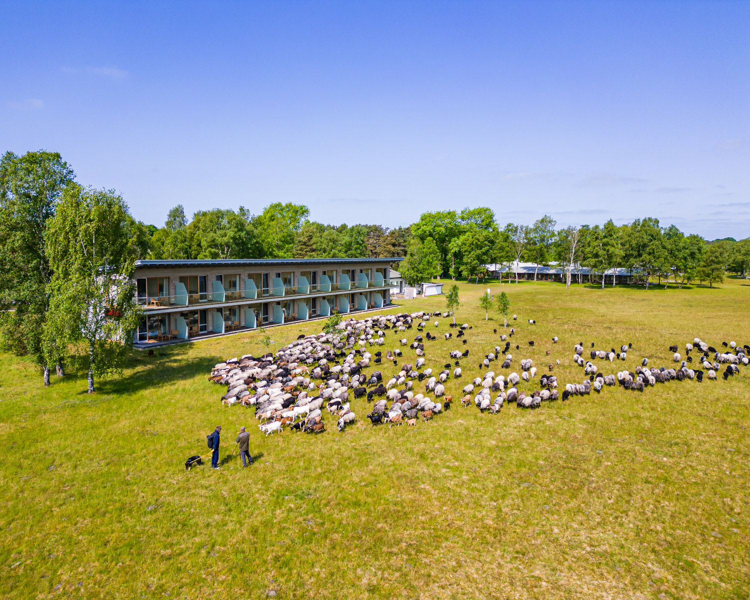 Hotel Camp Reinsehlen  Tagen in der Heide mit Weitblick